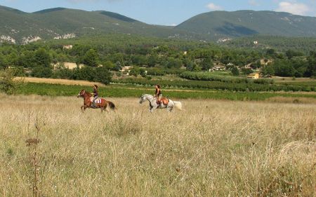 Ballade à cheval dans le Luberon